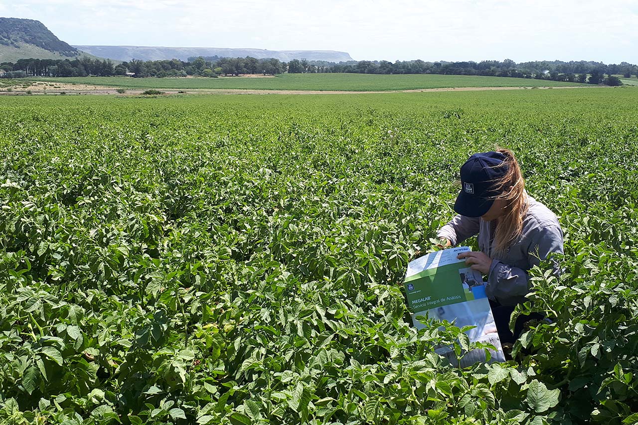Sostenibilidad-planeta