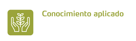Conocimiento aplicado