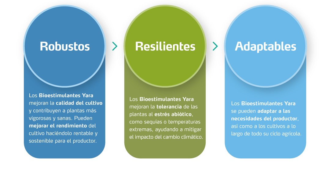 los bioestimulantes de yara son robustos resilientes y adaptables