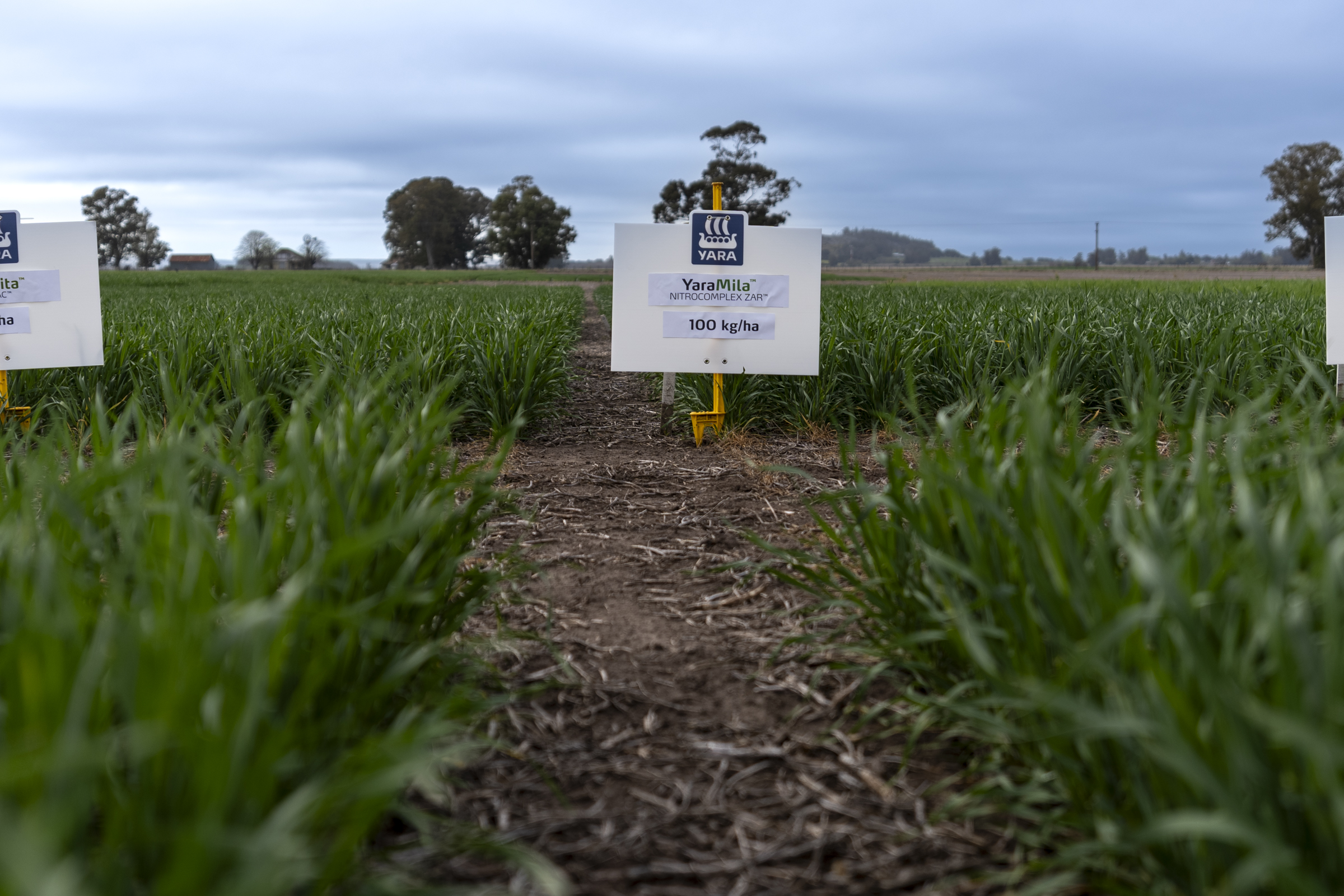 experimentaci&oacute;n