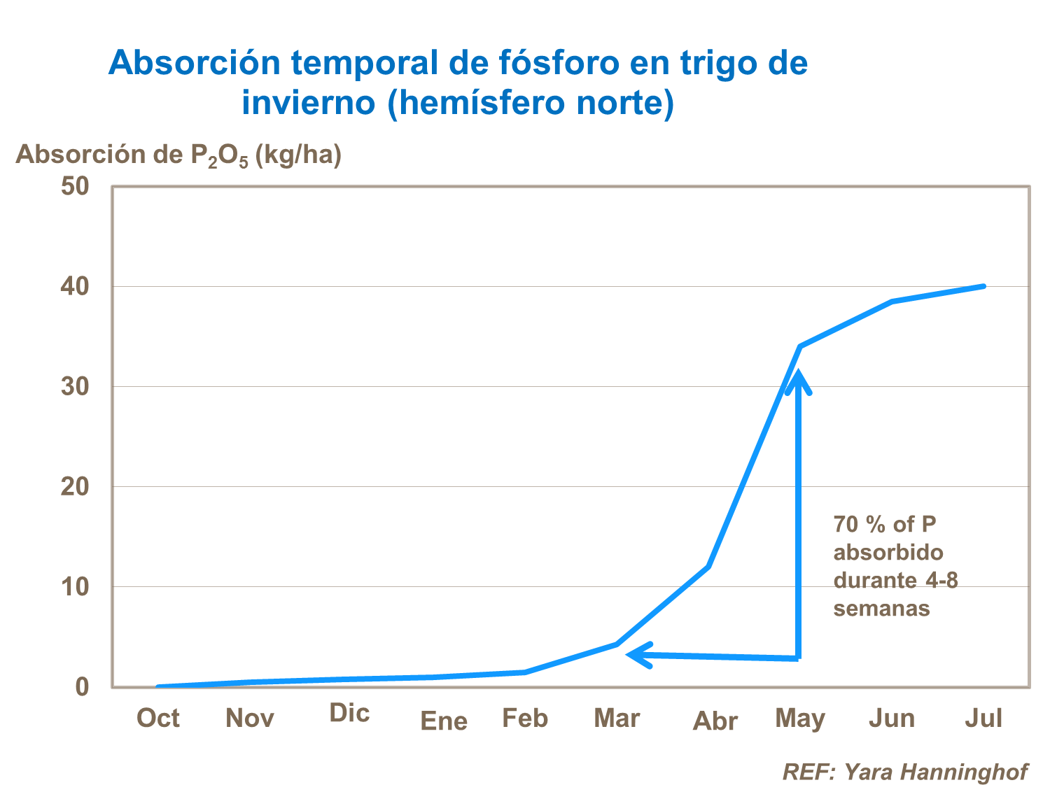 Absorción temporal de fósforo en trigo de invierno