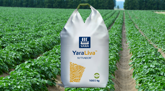 YaraLiva - Nitrato de calcio